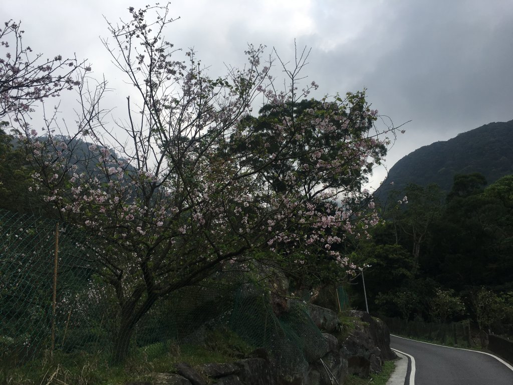 楓樹湖 巨石花園封面圖