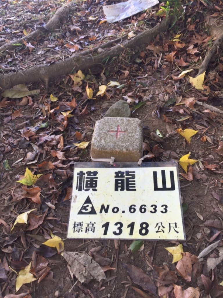 騰龍山&橫龍山古道_1140350