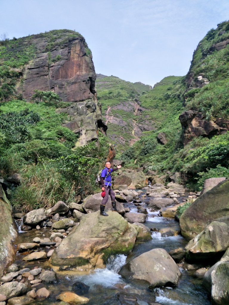 20190526劍龍、鋸齒、無耳茶壺山_593226