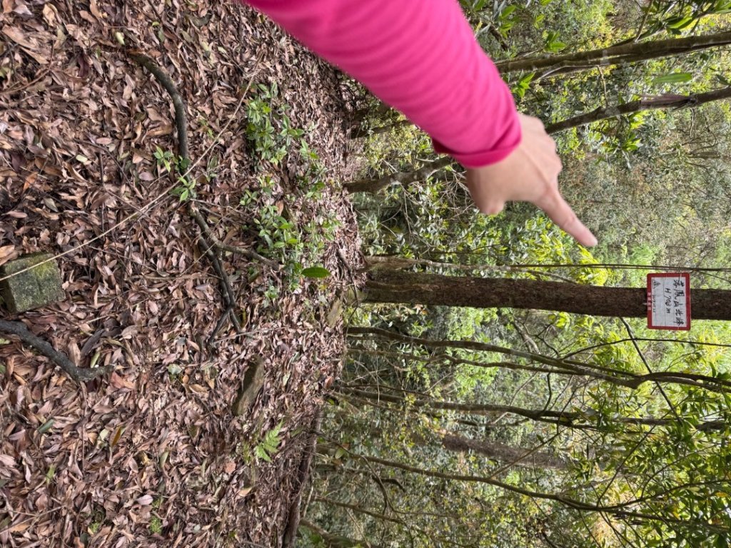 桂山路197巷 》呂奔山北峰 》呂奔山 》阿玉壩_2755809