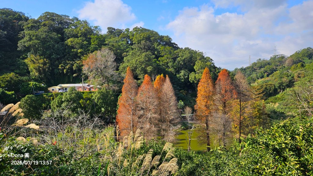 20260119飛沙縱走東段加碼9連峰大O走_2988952