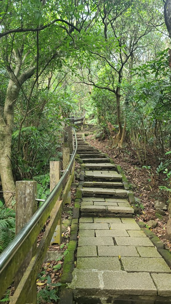 2024-0107台北大縱走第六段_2437658