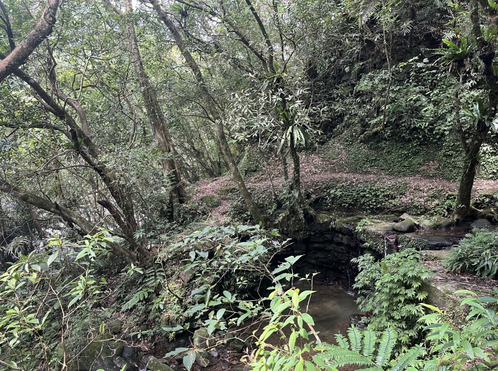 [淡蘭古道] 2024_0622 中路第四段-北勢溪古道_2533890