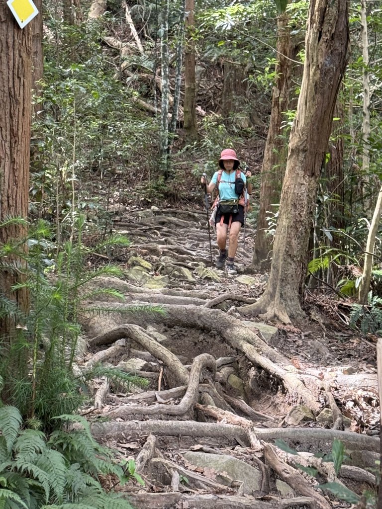 唐麻丹+蝴蝶谷O繞_2887840