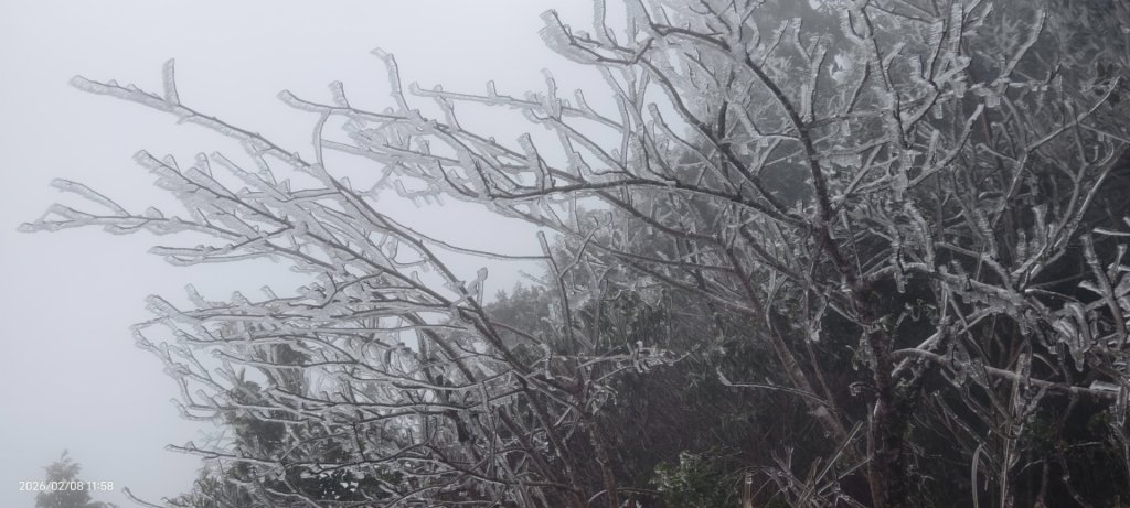 #霧淞 #雲海 #雲瀑 #霧虹 #太平山 #望洋山 #觀雲步道 #翠峰道路  2/8_2995334