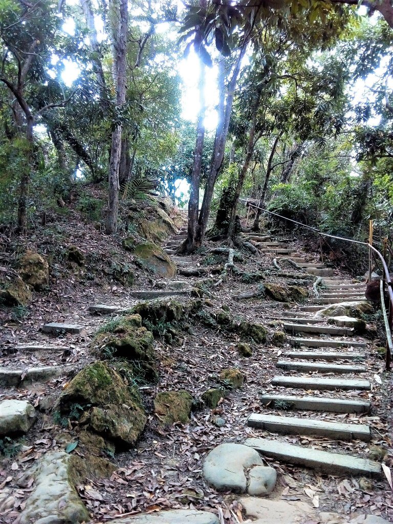 南觀音的寧靜_465173