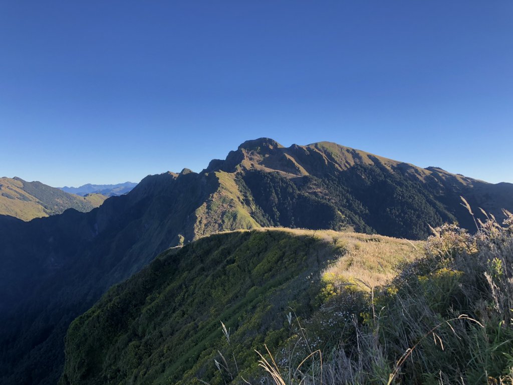 水鹿天堂-能高安東軍蹤走_573117