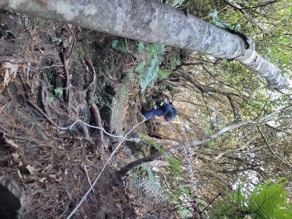 油霞麥縱走O型_1993001