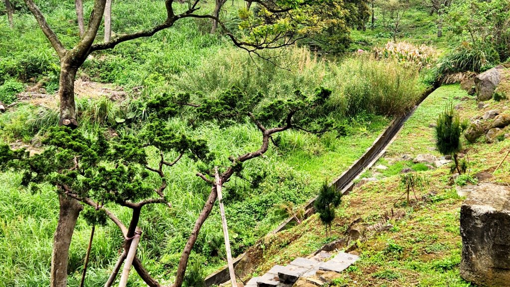 大砲岩，石壇山，大屯溪古道，三板橋，白雞山，雞罩山，石門內尖山，中和外員山，中坑山東北峰_2073336