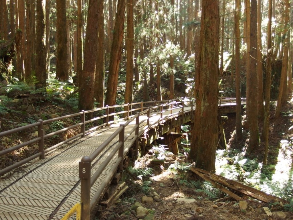 特富野古道輕鬆GO封面圖