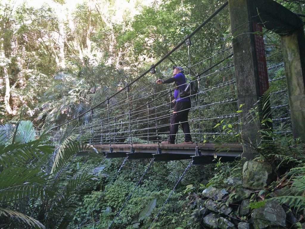 東卯山東南稜串德芙蘭步道_364264