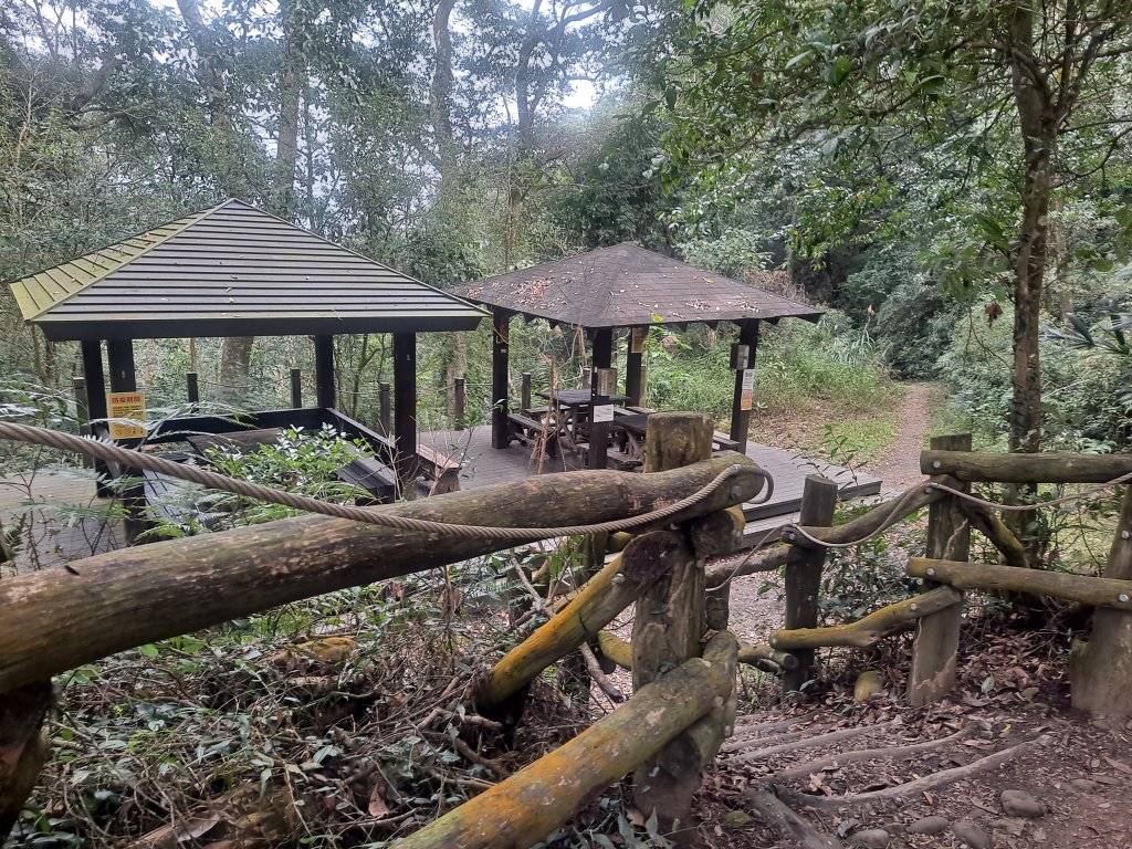 大坑步道(1~5&3-1、5-1)_1994983