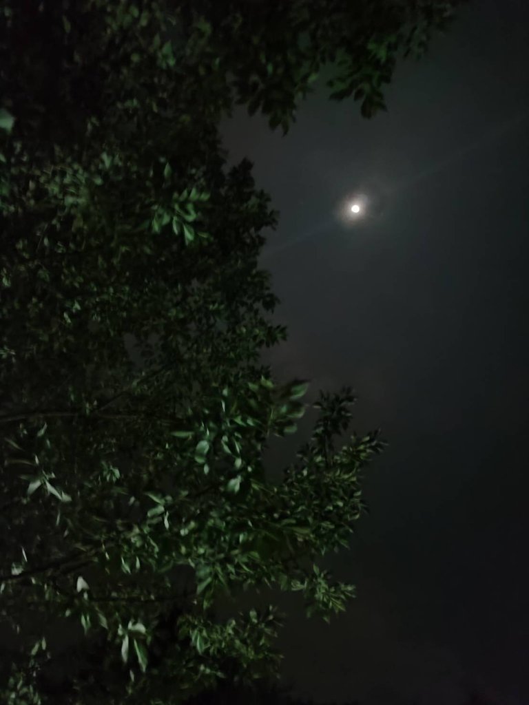 【油羅山/露營】 仙境舒活健走，雲端徜徉野趣！_2887867