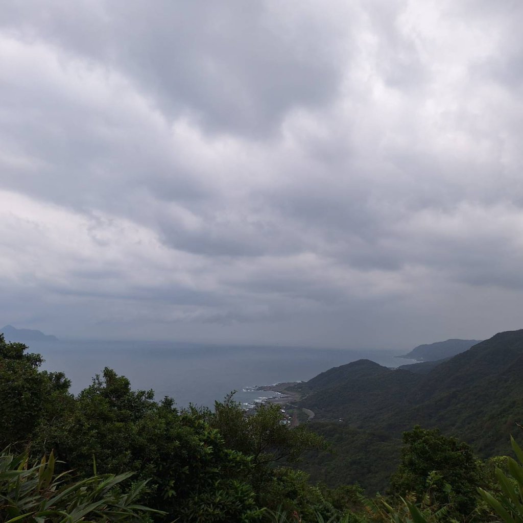 【2025草嶺古道芒花季】完成!封面圖