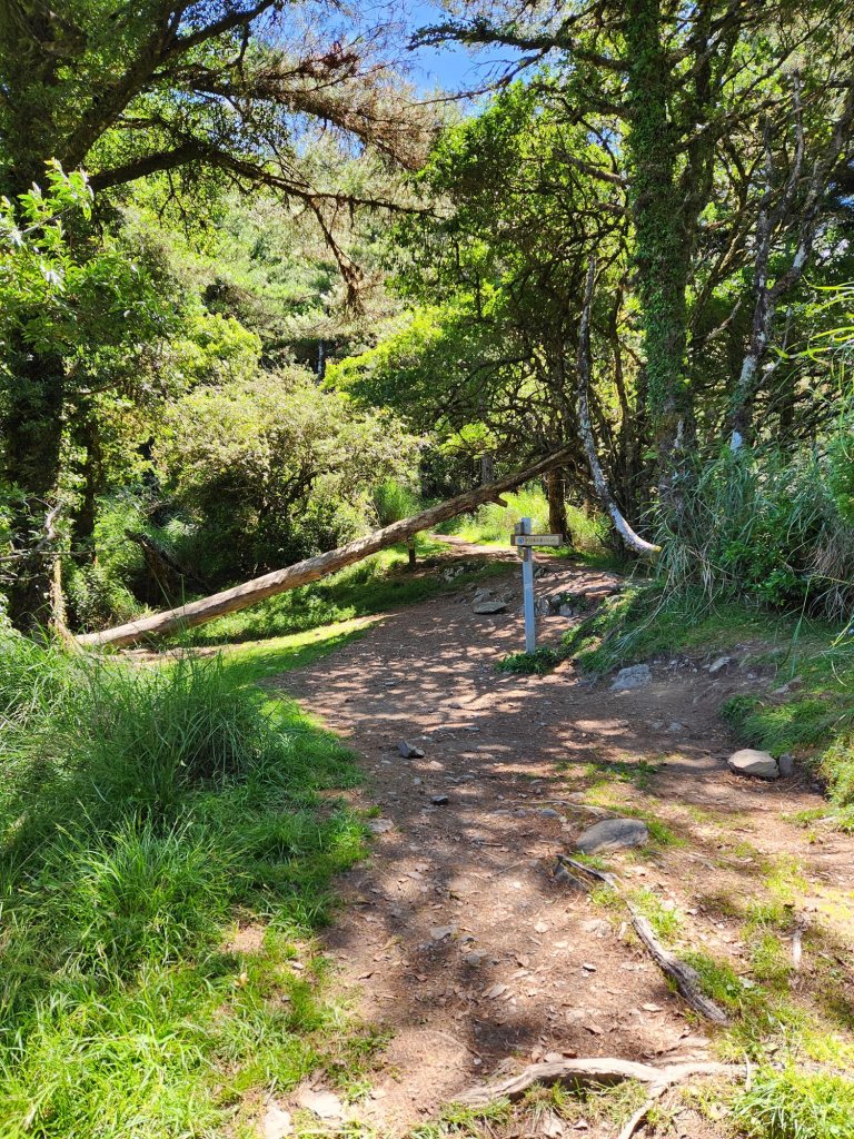 中央尖山西稜(非傳統路徑)_2244091