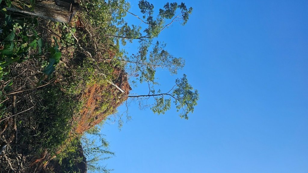 竹東三山O_2375995