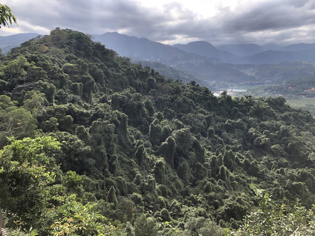 走入山林，看見美麗山景—新店小獅山_1239712