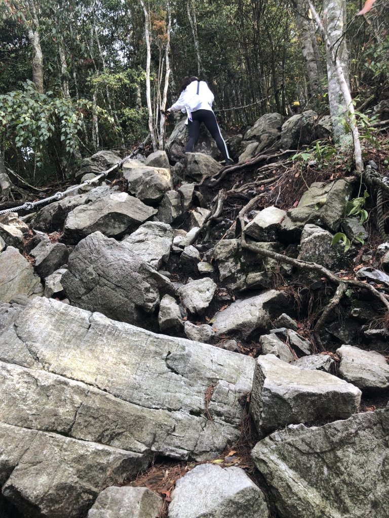 【台中東勢】鳶嘴山~台中岩場之最_627099