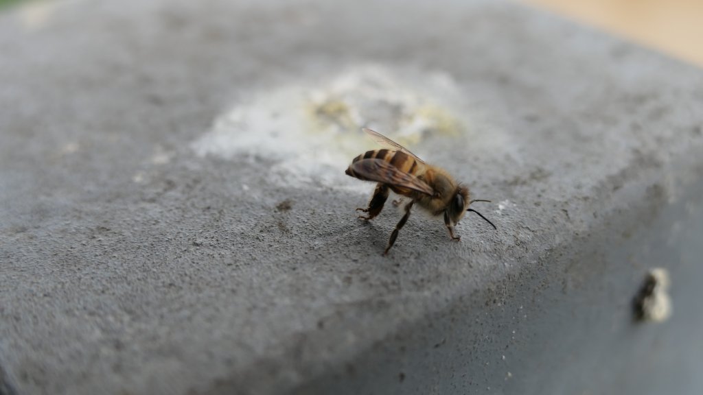 颱風過後_2613831