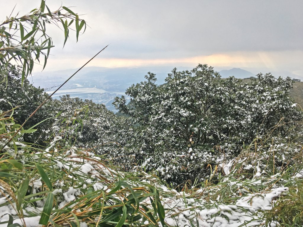 2021-1-9 面天山、向天山_1234099