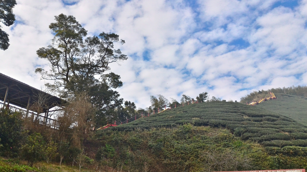 祝壽山、馬鞍山連走封面圖