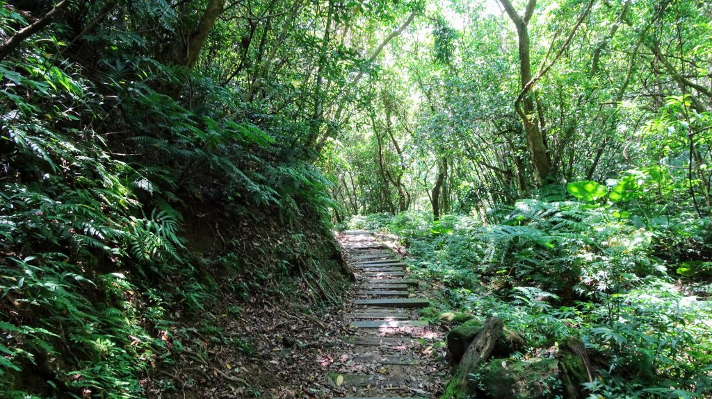 土庫岳(山豬淚湖)_1096965