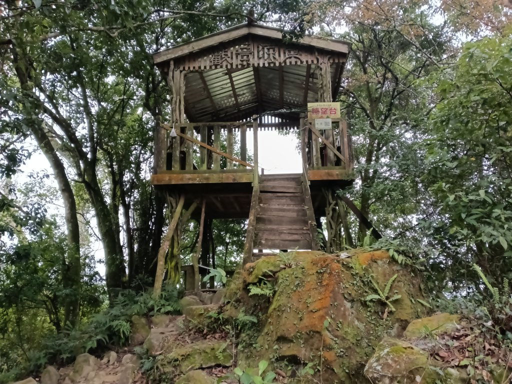 關西鎮太元宮-赤柯山-赤柯山南峰-東獅頭山-西獅頭山-東獅頭山8字走封面圖