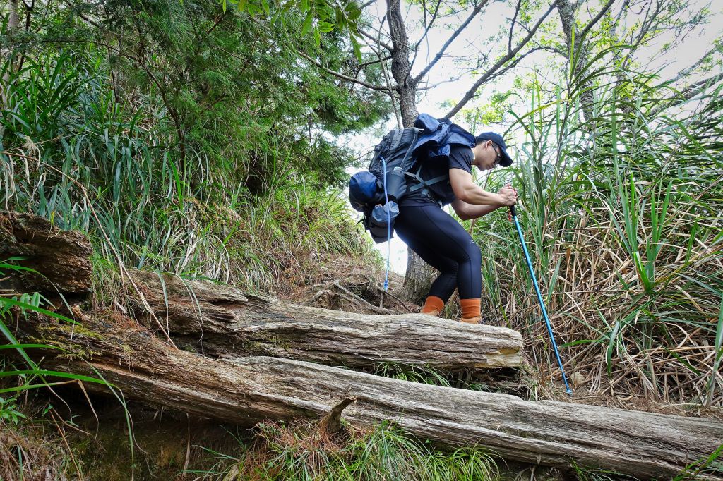 水漾森林。鹿屈山O型2018.04.04_307359