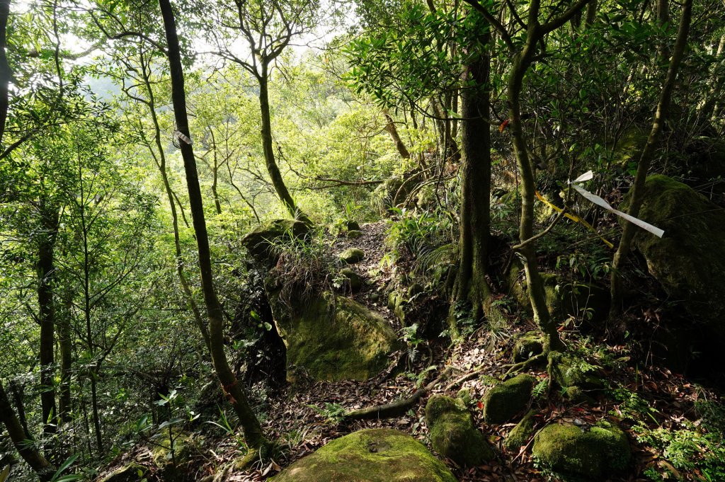 新北 平溪 峰頭尖_2779555