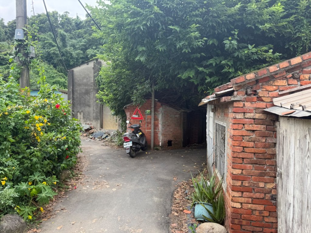 霄裡好好玩封面圖