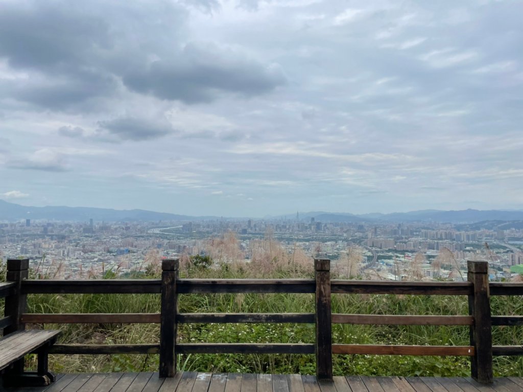 [新北樹林]三角埔頂山-2021芒草季_1518431