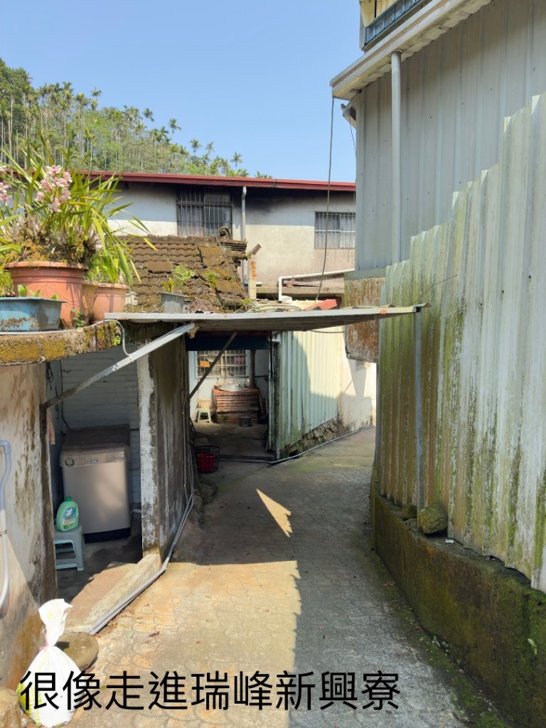 20250308古坑後棟山涼亭、挑筍古道_2730485