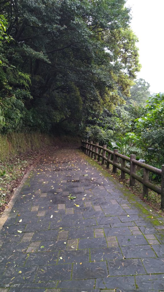 2020.04.04石門茶山步道之旅_990931