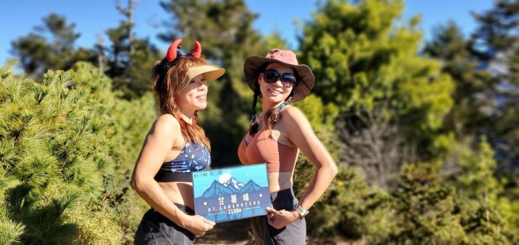 北二段之 甘薯無明_2611872