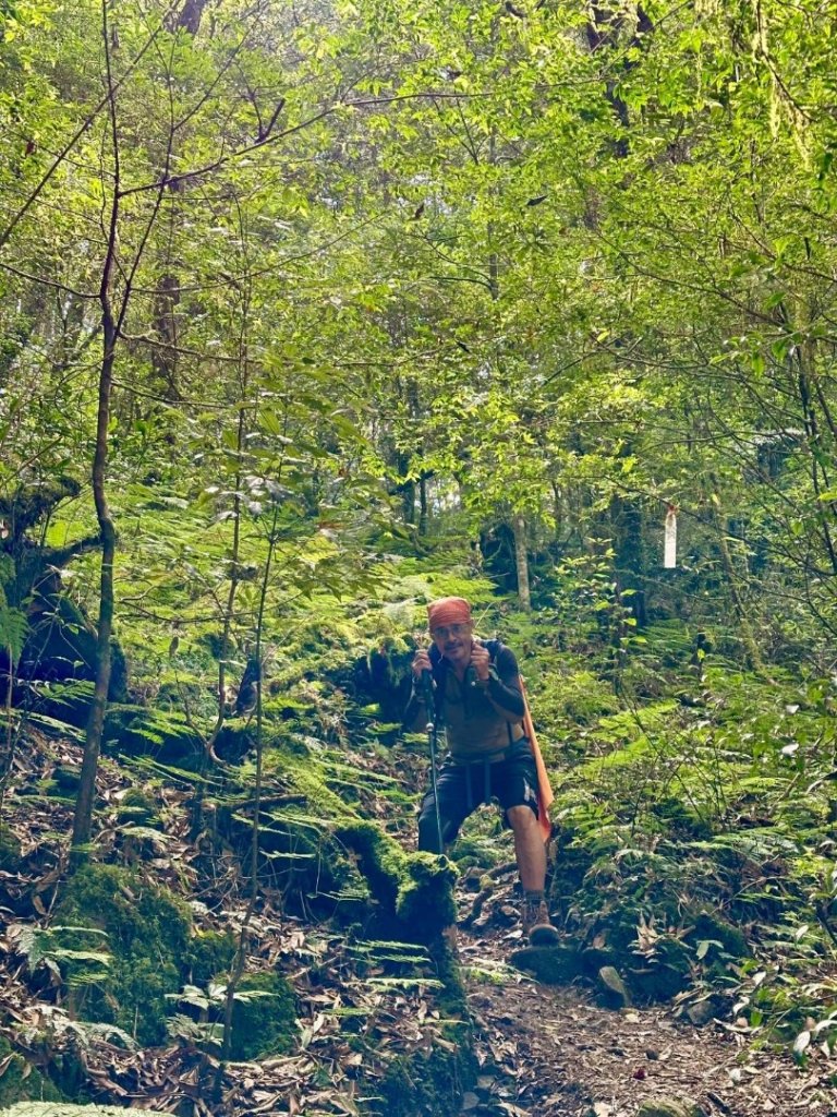 20251014雪見遊憩區 🚴‍♂️咖搭車走司馬限林道上東洗水山兩刷北坑山至大板根_2916402