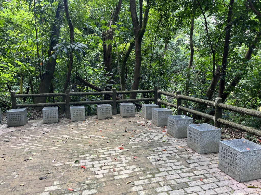 [百山百鳥尋旅-03/15] 2025_0817 虎形山公園步道_2863138
