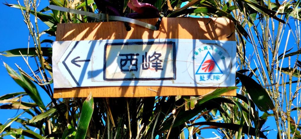 【中級山】台北版抹茶山竟然有免申請路線，小觀音山西峰單攻，順遊頂湖海芋步道，竹子湖黑森林_2742399