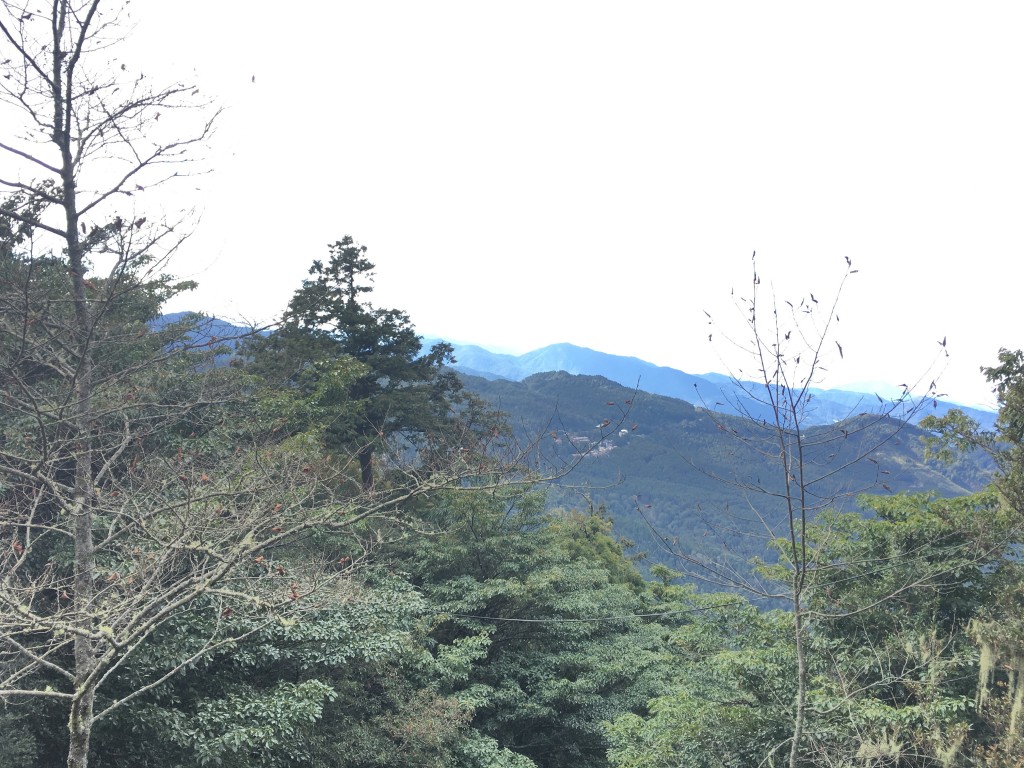 鄒族心目中的聖山大塔山_255811