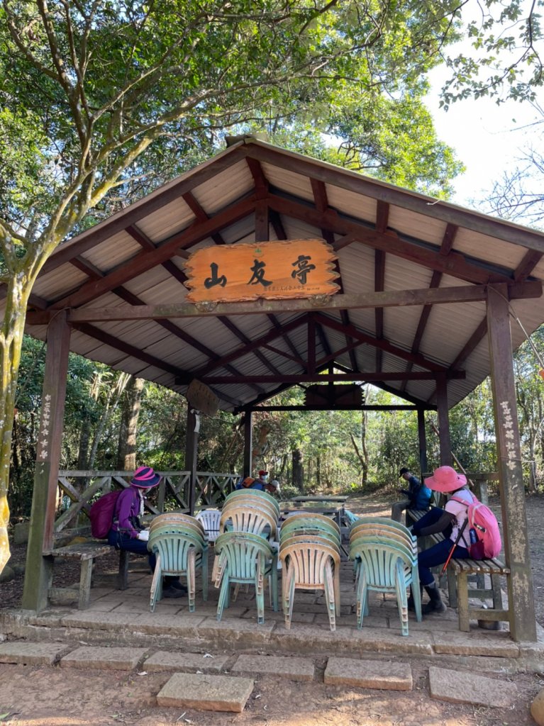 2021銅鑼杭菊季‧情花開浪漫11月雪_1517976