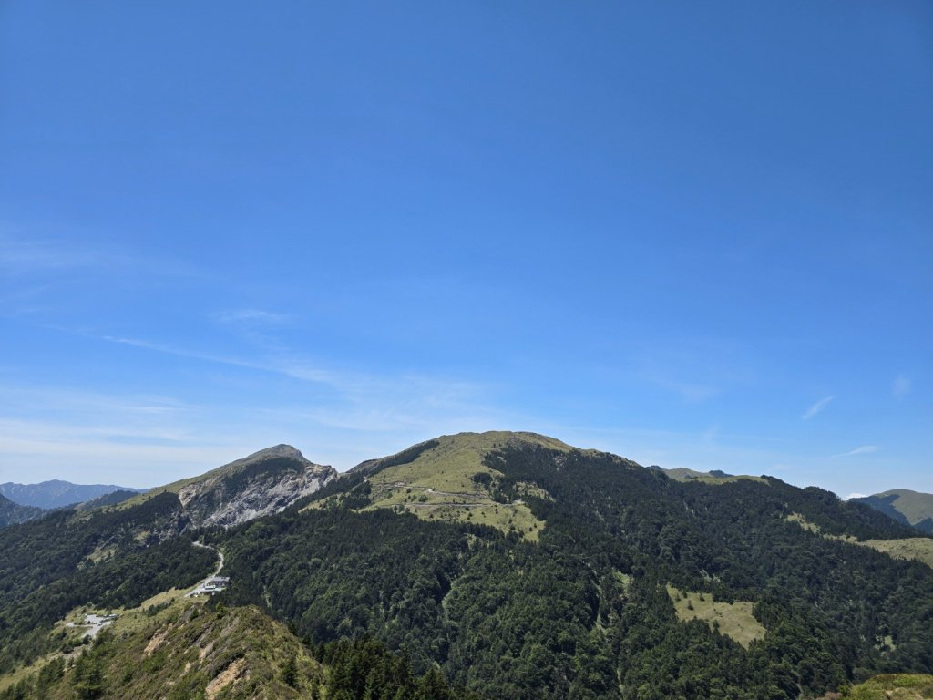 合歡北峰高山杜鵑盛開／龍膽點綴／紅毛杜鵑少許開花_2497455