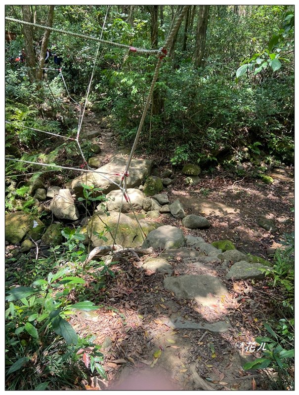 里龍山(小百岳)、下里龍山前山、 下里龍山連走_2495783
