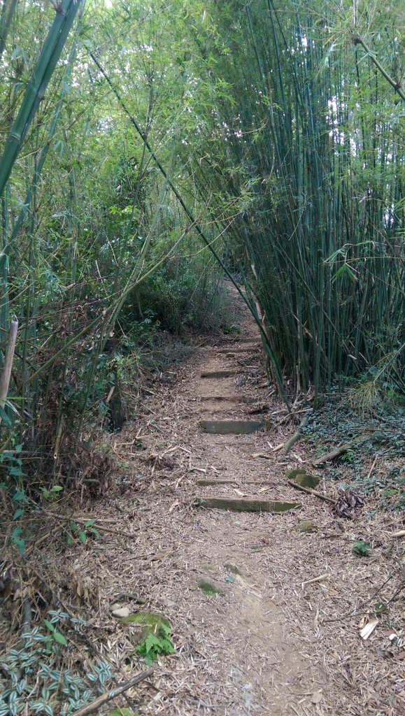 出關古道聖關段登關刀山_24517