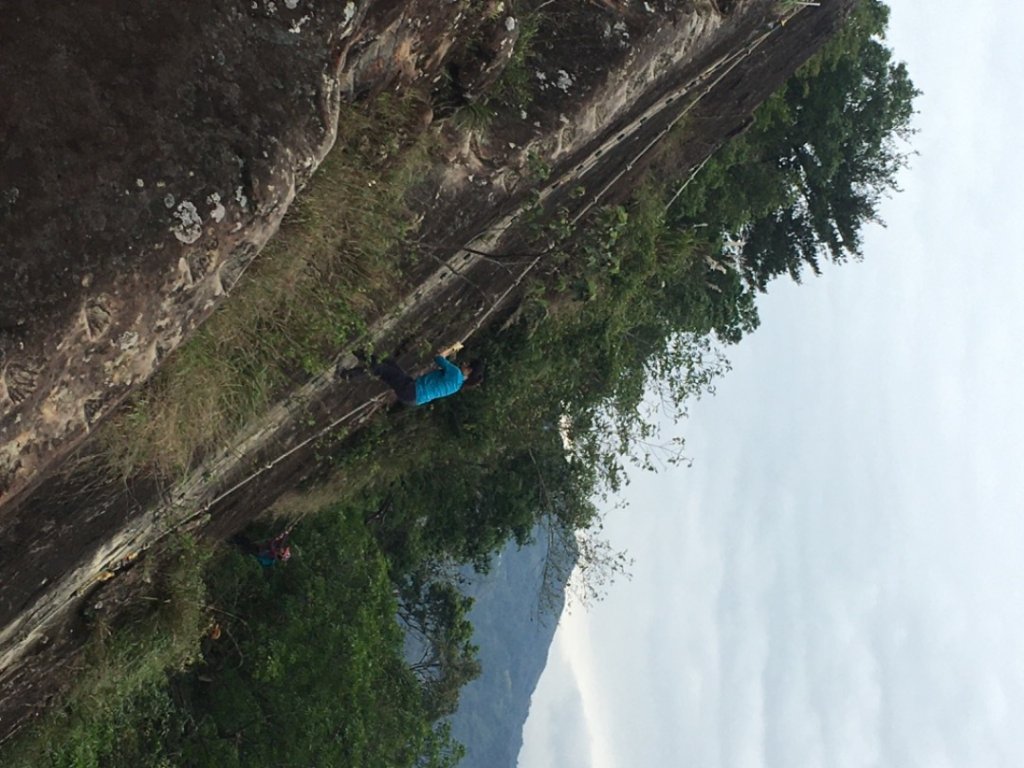 慶元旦（🎉🍾️2025-01-01🍾️🎊封面圖