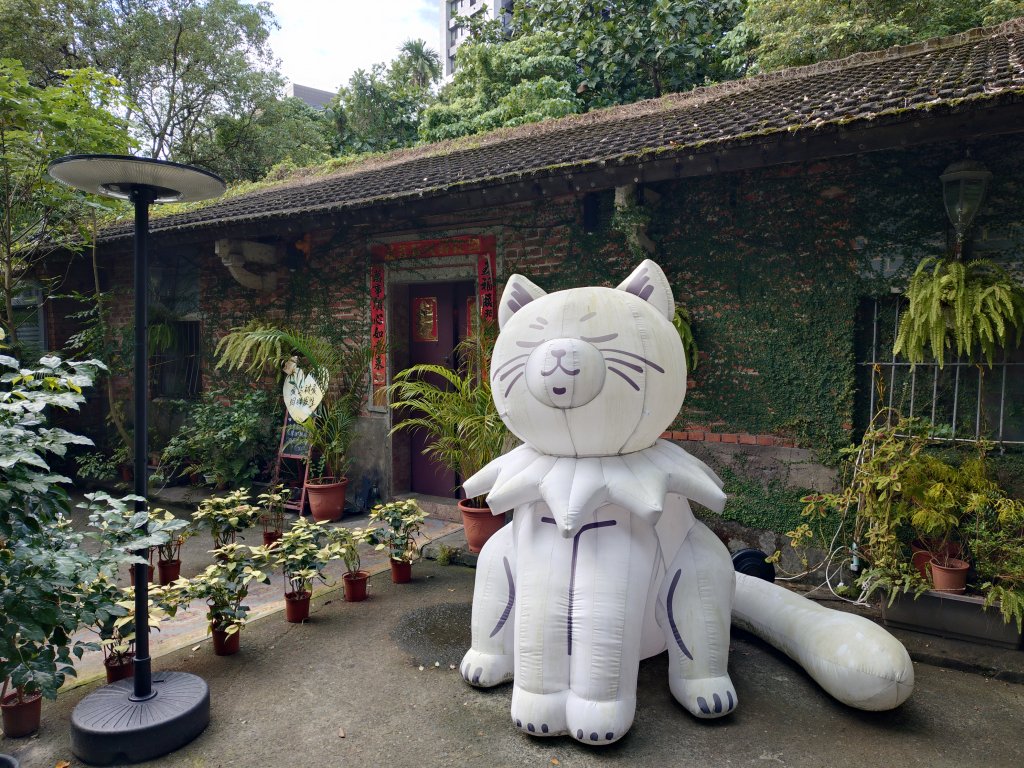 朝聖抹茶山_2949545