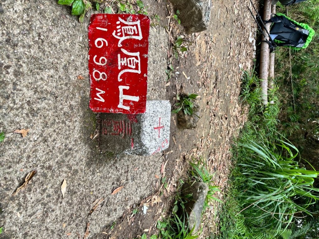 20250525_鳳凰山步道（南投小百岳）_2855890