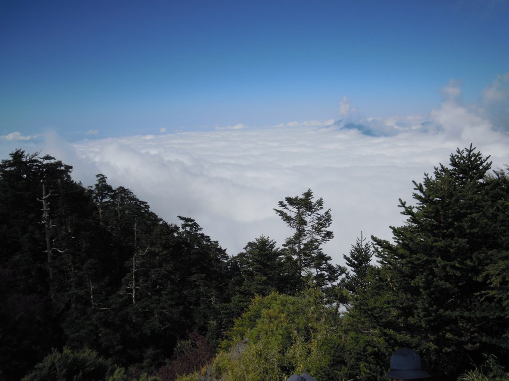 郡大山、望鄉山單攻20131019_1961566