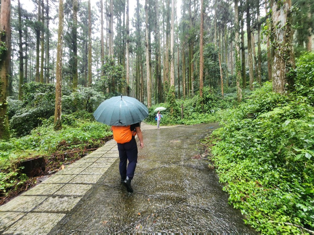 20250719頂湖上大凍山_2907127