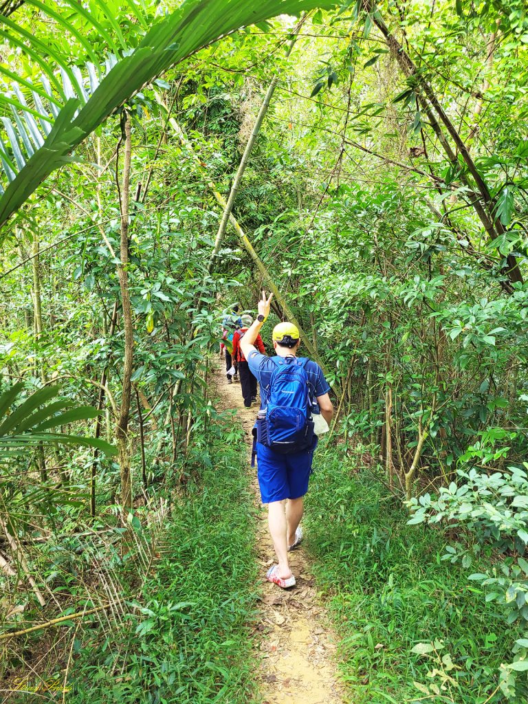 【樟之細路】獅猿縱走_1902116