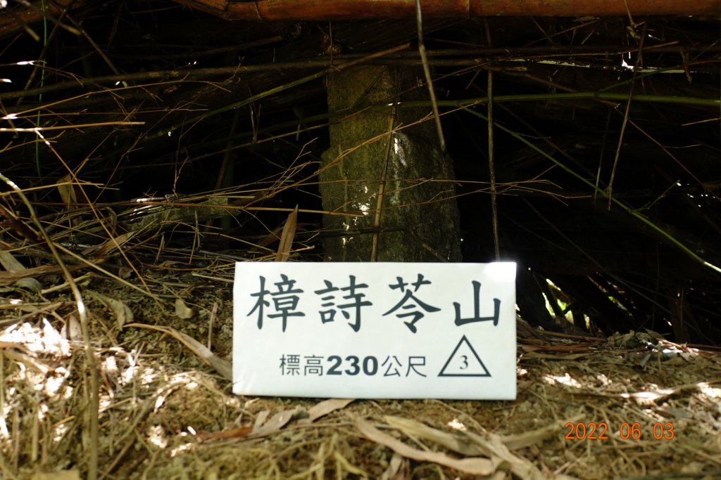嘉義 梅山 樟詩苓山封面圖