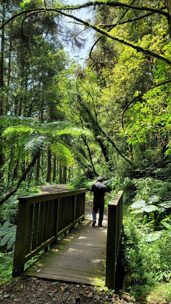坪溪古道森林浴逍遙行_2115256